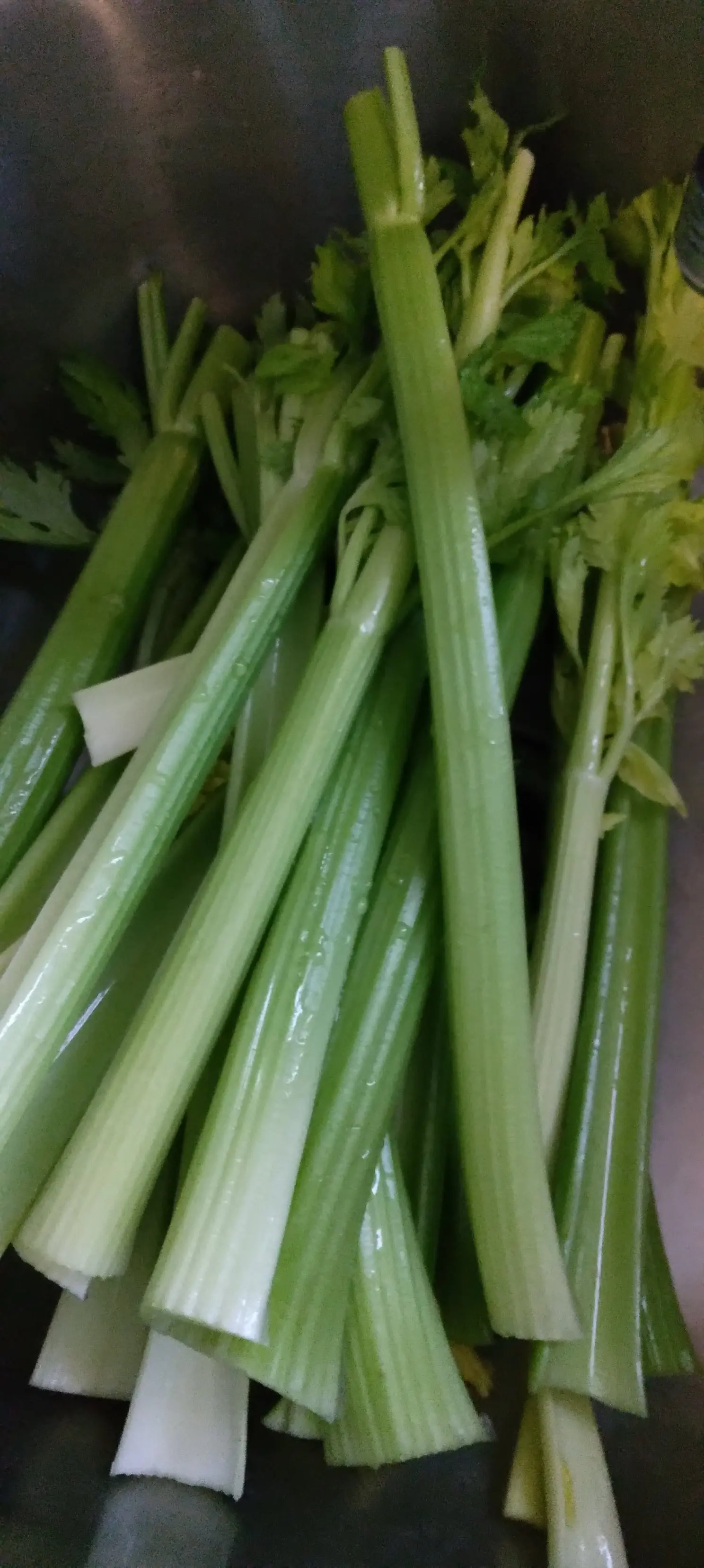Celery