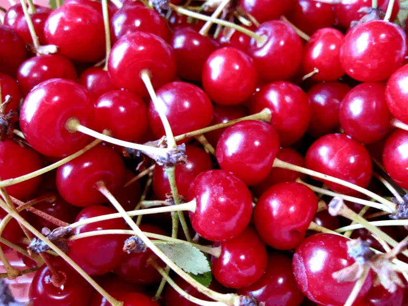 Cherries