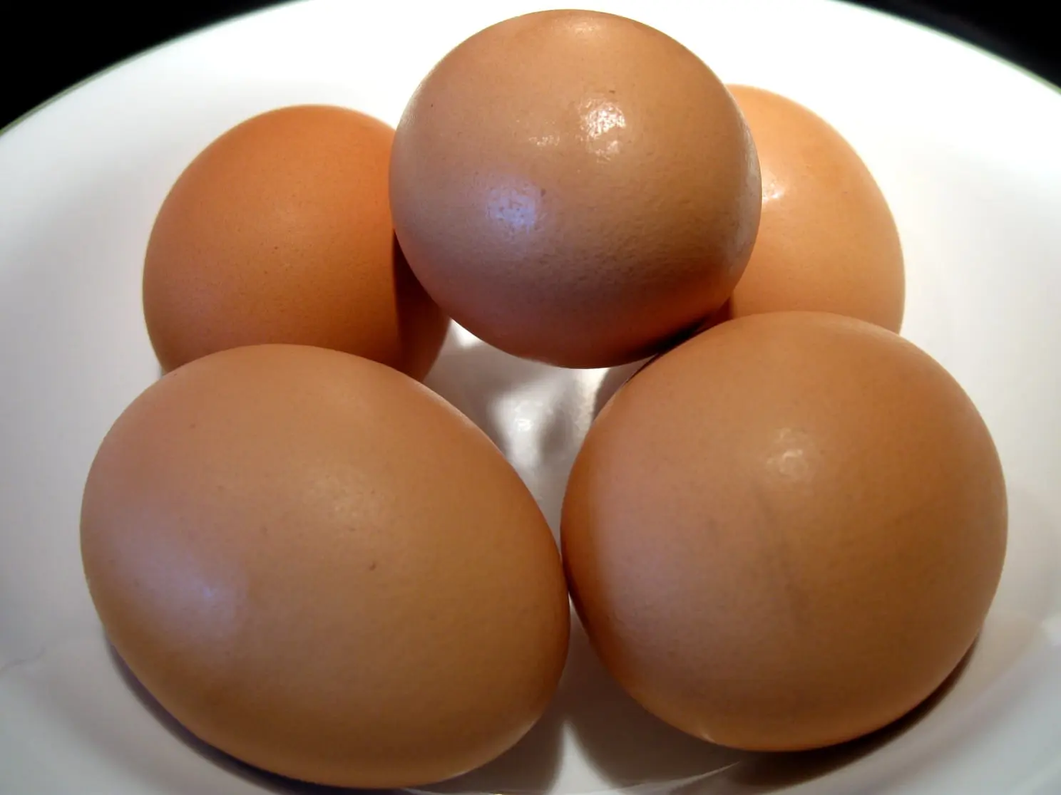 Eggs