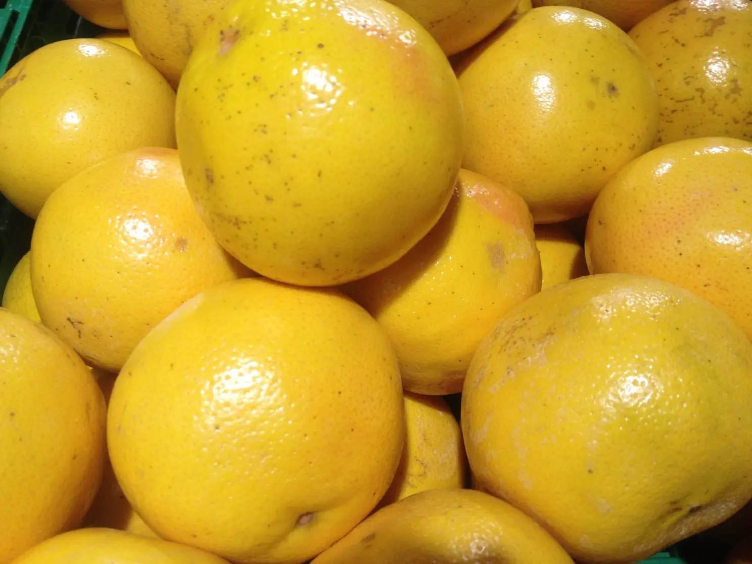 Grapefruit