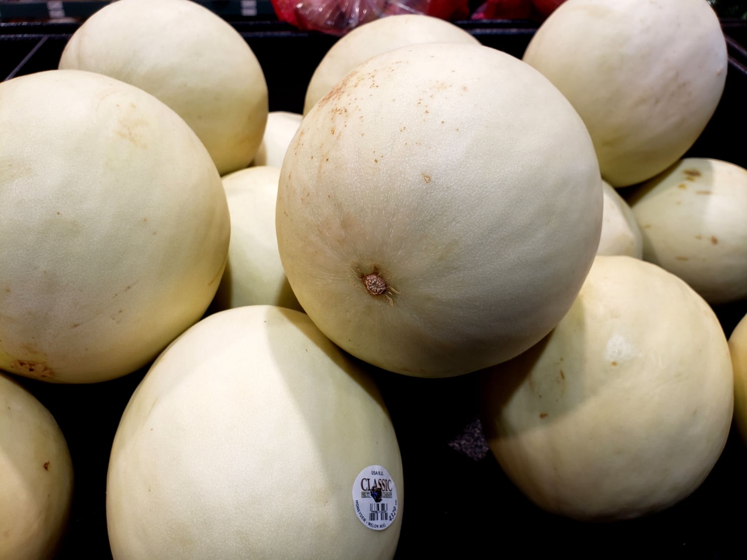 Honeydew