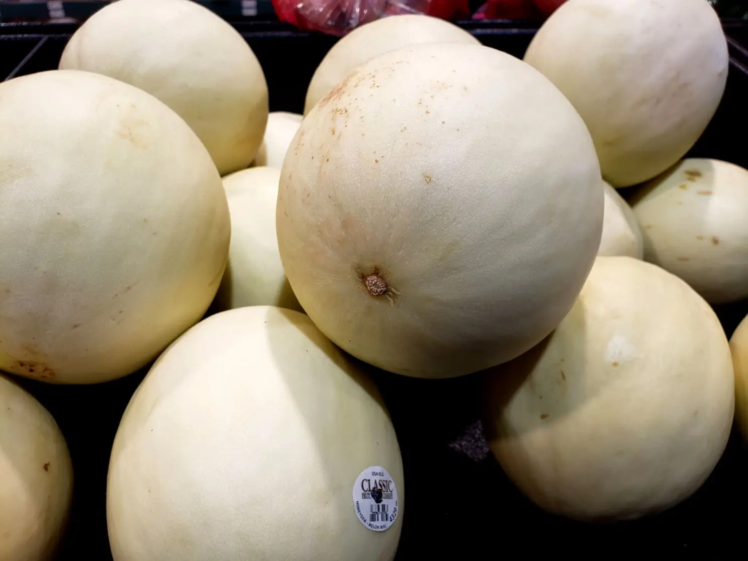 Honeydew