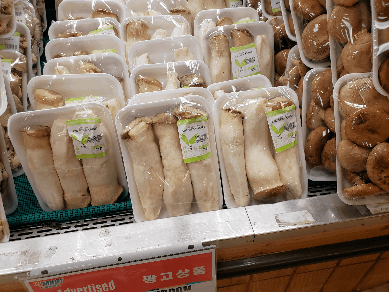 King Trumpet Mushrooms